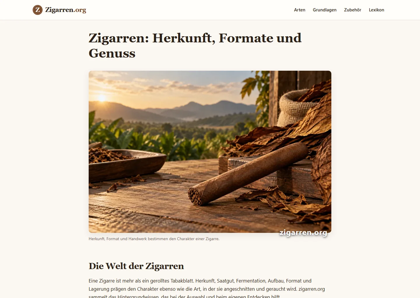Einblick in die Website zigarren.org